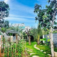 Bán Gấp Đất Vườn Đẹp Tại Vĩnh Ngọc - Nha Trang. Phù Hợp Đầu Tư Hoặc Xây Nhà Vườn Ngay Trong Phố