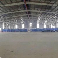 Cho Thuê Xưởng Giặt Tẩy - Dệt Nhuộm - Kcn Trảng Bàng Tây Ninh