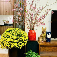 Chính Chủ Cần Bán Căn Hộ ( 2 Phòng Ngủ98.5M) Chung Cư Pico 173 Xuân Thủy .Sổ Đỏ,Bao Phí. Liên Hệ: 0964874289