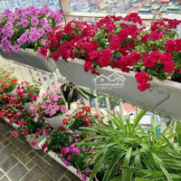 Chính Chủ Cần Bán Căn Hộ ( 2 Phòng Ngủ98.5M) Chung Cư Pico 173 Xuân Thủy .Sổ Đỏ,Bao Phí. Liên Hệ: 0964874289