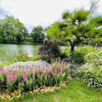 Cần Bán Bt Hp3 Vinhomes Riverside Sđất 330 M2 Nhà Hoàn Thiên Full Nội Thất, Giá Tốt Nhất Thị Trường