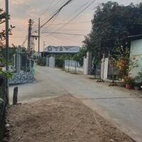 1500m²( 500m² vuờn và 1000m² lúa). Nhơn Thạnh Trung TP Tân An Long An.Giá 1ty650tr tlcc.