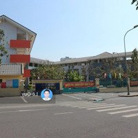 Tổng Hợp Nhiều Nền Đất Cát Lái Bán Tháng 3/2025, Đa Dạng Diện Tích, Vị Trí