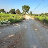 Bán 1.600M2 Tại Đông Thạnh, Hóc Môn, Hồ Chí Minh, Gần Cầu Dừa, Giá Chỉ 3,5 Tỷ Luôn Sổ