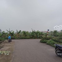 Bán Mảnh 42M Trung Tâm Đặng Xá , Đường Ô Tô Tránh, Ngõ Thông Các Ngả , Tiện Ích Liền Kề