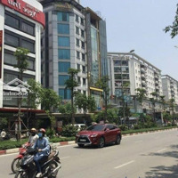 1 Mặt Bằng Cực Kỳ Suất Xắc, Cho Thuê Nhà Mặt Phố Trần Thái Tông,Diện Tích350M2 X 11 Tầng,Mặt Tiềnlô Góc 20M