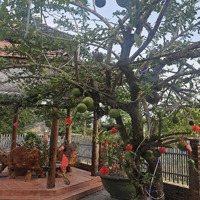 Ông Anh Kẹt Đi Nước Ngoai Cần Bán Rẻ Nhà Hẻm Đường Phạm Văn Chiêu, Gò Vấp, Nhà Rộng Rãi Nở Hậu