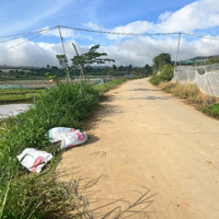 Tìm Đâu Ra Lô Chân Dài Vừa Ở Vừa Nghỉ Dưỡng Ngắm View Cánh Đồng Lúa Tại Xã Ka Đô, Đơn Dương Chỉ 715