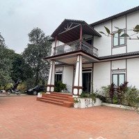 Bán Nhà Riêng 6 Phòng Ngủ 5 Vệ Sinh 742M2 Tại Ngọc Thanh, Phúc Yên, Vĩnh Phúc, Giá Ưu Đãi 5,5 Tỷ