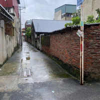 Bán Gấp Lô Góc 97M2 Thổ Cư, Cách Trục Chính Tiên Hội 30M, Ngay Lõi Vin Cổ Loa, Giá Rẻ Đáng Đầu Tư