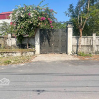 Bán Đất Tại Đường Tiên Hội, Đông Hội, Đông Anh, Hà Nội, 155 Triệu / M2, 363.5 M2