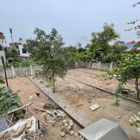 Bán Đất Tại Đường Tiên Hội, Đông Hội, Đông Anh, Hà Nội, 155 Triệu / M2, 363.5 M2