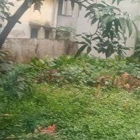 Đất Nền Đẹp Xuất Sắc Tại Vĩnh Hưng, 4,99 Tỷ, 60M2, Hoàng Mai, Hà Nội