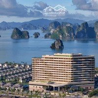 Chỉ 8,X Tỷ Sở Hữu Ngay Căn Shoptel 95M2. Sẵn Sổ, Sẵn Sàng Sang Tên Ngay