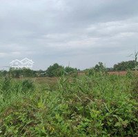 Bán Đất Tại Phủ Hồng, Xã Đa Phước, Bình Chánh, 5500 M2 Giá Ưu Đãi