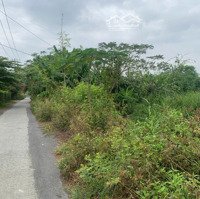 Bán Đất Tại Phủ Hồng, Xã Đa Phước, Bình Chánh, 5500 M2 Giá Ưu Đãi
