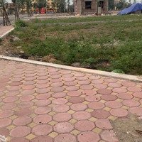 Chính Chủ Cần Bán Lô Góc Tại Khu Mạ Cú, Đường Tế Tiêu - Đại Nghĩa - Mỹ Đức,Diện Tích243M2 Giá Tốt, Shr