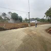 Bán Đất Thạch Thành Chỉ Hơn 100 Triệu/Lô, Sổ Đỏ Full Thổ Cư, Đất Đẹp Công Chứng Ngay Trong Ngày