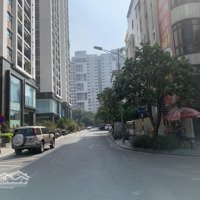 Cho Thuê Tầng 1 Shophouse Tại Mon City - Hải Đăng City, 20 Triệu/Tháng, 130M2. Liên Hệ: 0985643750