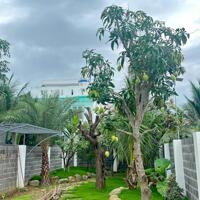 Bán gấp đất vườn đẹp tại Vĩnh Ngọc - Nha Trang. Phù hợp đầu tư hoặc xây nhà vườn ngay trong Phố