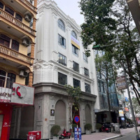 Cho Thuê Văn Phòng - Mbkd Tại Vũ Ngọc Phan, Đống Đa, Hà Nội, Giá Cực Đẹp Diện Tích 200M2