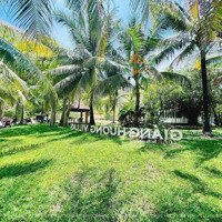 Bán 2 Lô Biệt Thự Giáng Hương Villa Trục Đường Hoa Anh Đào Giá Quá Rẻ / Alo Em 0379968911 Thư