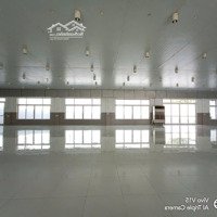 Bán Gấp Kho Xưởng Kcn Đức Hòa Long An, Tổng Diện Tích: 10.000M2, Xây Dựng: 8.000M2