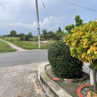 Bán 2010M2 Đất Trồng Cây Lâu Năm Tại Xã Qui Đức, Huyện Bình Chánh