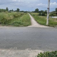 Bán 2010M2 Đất Trồng Cây Lâu Năm Tại Xã Qui Đức, Huyện Bình Chánh