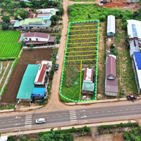 Bán Đất Đt 724, Phú Hội, Đức Trọng, 950 Triệu, 119.4M2 Đẹp, Nhiều Tiện Ích