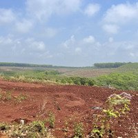 Chính Chủ Bán Lô Đất Trung Tâm Chợ Huyện 5X35=175M Tc Shr Đúng 270 Triệu Gần Cty Xí Nghiệp Thuận Tiện Ở