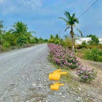 Đất Nền Đẹp Xuất Sắc, Tại Đường Tỉnh Lộ 818, Xã Tân Thành, Thủ Thừa, Long An, 285 Triệu, 500M2