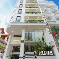 Tài Sản Hiếm! Cách Cổng Sân Bay 500M , Toà Nhà 7 Lầu, 2Mt Dt:8X25M, Chỉ 50 Tỷ Hđt 230 Triệu