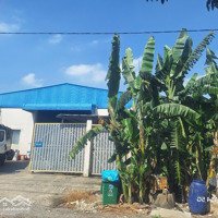 Cần Bán Gấp Đất Mặt Tiền An Phú Đông 3