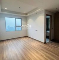 Cho Thuê Căn Hộ The Horizon Phú Mỹ Hưng Gía Tốt Chỉ 43. 5 Triệu