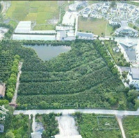 Cần Bán Đất Làm Nghỉ Dưỡng, Nhuận Trạch, Lương Sơn, Hòa Bình