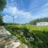 Mở Rộng Kd Bán Nhanh Lô Đất 45X55M=2225M2Mặt Tiềnđường 12M Thông Chợ, Kcn Dân Đông Giá 480 Triệu/Lô