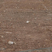 Đất Hẻm Xe Hơi Đườngcó Thương Lượng19, Q.12. Dt: 4X17M=2,83Tỷ. Ngay Ngã Tư Ga.