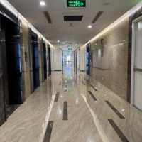 Chung Cư Siêu Víp Vinhomesmetropolis 29 Liễu Giai, Diện Tích: 143M2, Giá Bán 29,75 Tỷ