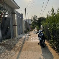 Bán Nhà Riêng Tại Xã Bình Chánh, 5,5 Tỷ, 227M2, Hàng Hiếm!