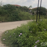 42 Triệu/M2. Bt Long Việt 330M2 View Vườn Hoa Giá Đầu Tư Tại Dự Án Kđt Quang Minh - Ml - Hn
