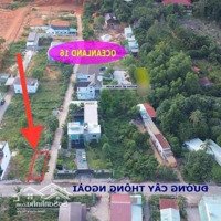 Bán Lô Góc Hai Mặt Tiền Đường Cây Thông Ngoài, Cách Tượng Đài Cảng Quốc Tế 3Km, Khu Dân Cư Đông Đúc