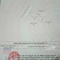 Bán Lô Góc Hai Mặt Tiền Đường Cây Thông Ngoài, Cách Tượng Đài Cảng Quốc Tế 3Km, Khu Dân Cư Đông Đúc