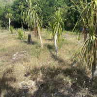 Đất Ninh Vân Ninh Hoà. Khánh Hoà Liên Hệ: 0795155539