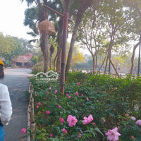 Bán 1000M2 Đất Tại Thôn Đa Hội, Xã Bắc Sơn, Huyện Sóc Sơn