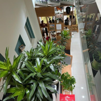 Nhà Nội Thất Cao Cấp - Đối Diện Vạn Phúc - Kế Urben Green - 3 Tầng Hoàn Công - Hxh