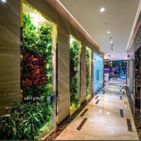 Dòng Tiền 24 Tỷ/Năm - Tòa Nhà Chdv Lê Văn Sỹ - 200 Phòng -Diện Tích4.500M2 - Hầm - 8 Tầng - Giá Bán 110 Tỷ