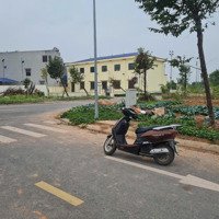 Bán Gấp Lô Đất Quốc Lộ 31, Bắc Giang Giá Chỉ 2Ty Bạn Đã Sở Hữu Lô Ngay Đất Đẹp Với Diện Tích 93,5M2