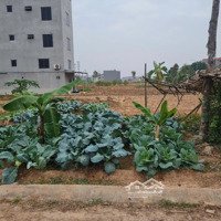 Bán Gấp Lô Đất Quốc Lộ 31, Bắc Giang Giá Chỉ 2Ty Bạn Đã Sở Hữu Lô Ngay Đất Đẹp Với Diện Tích 93,5M2