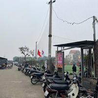 Nhập Khẩu Tp Từ Sơn Chỉ Loanh Quanh 1